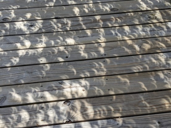 The cool lensing effect created by leaves that show the eclipse.